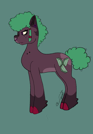 Limestone Pie Limestone Pie